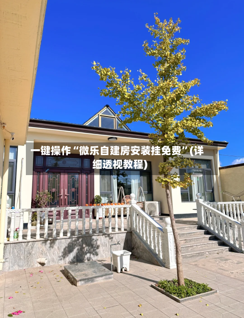 一键操作“微乐自建房安装挂免费	”(详细透视教程)-第2张图片