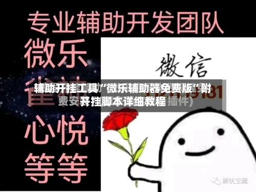 辅助开挂工具“微乐辅助器免费版	”附开挂脚本详细教程-第2张图片