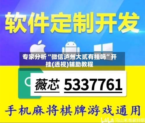 专家分析“微信泸州大贰有挂吗”开挂(透视)辅助教程-第2张图片
