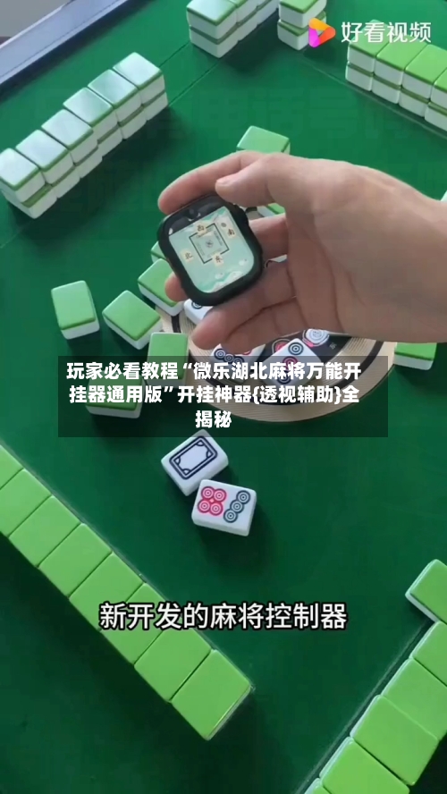 玩家必看教程“微乐湖北麻将万能开挂器通用版	”开挂神器{透视辅助}全揭秘-第2张图片