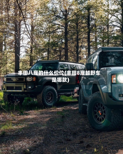 丰田八座的什么价位(丰田8座越野车是哪款)-第3张图片