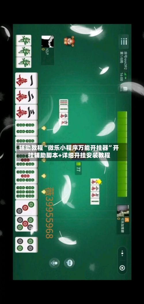 辅助教程“微乐小程序万能开挂器”开挂辅助脚本+详细开挂安装教程-第3张图片