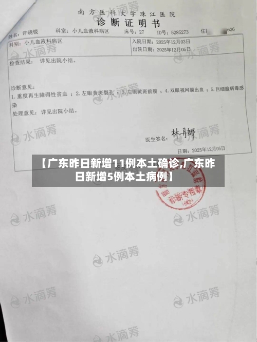 【广东昨日新增11例本土确诊,广东昨日新增5例本土病例】-第3张图片