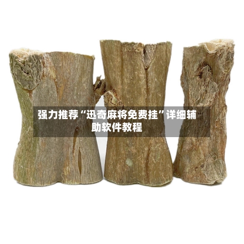 强力推荐“迅奇麻将免费挂	”详细辅助软件教程-第3张图片