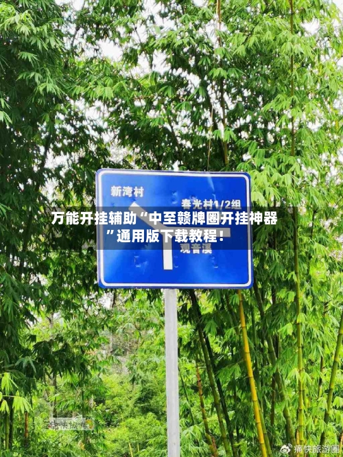 万能开挂辅助“中至赣牌圈开挂神器	”通用版下载教程！-第3张图片