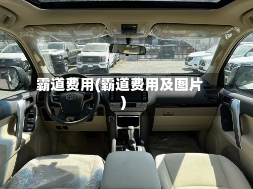 霸道费用(霸道费用及图片)