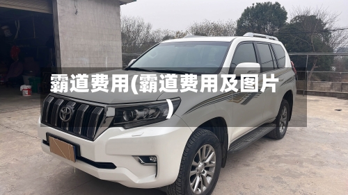 霸道费用(霸道费用及图片)-第3张图片