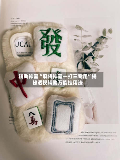 辅助神器“麻将神器一打三专用”揭秘透视辅助万能挂用法-第2张图片