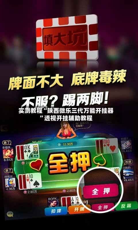 实测教程“陕西微乐三代万能开挂器”透视开挂辅助教程