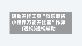 辅助开挂工具“微乐麻将小程序万能开挂器	”作弊(透视)透视辅助-第2张图片