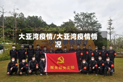 大亚湾疫情/大亚湾疫情情况-第3张图片