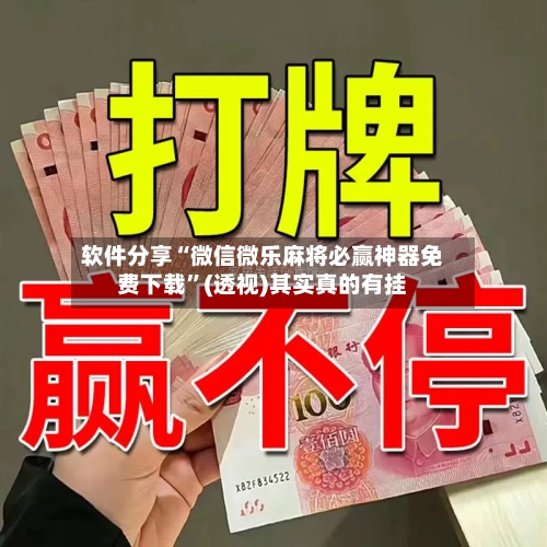 软件分享“微信微乐麻将必赢神器免费下载”(透视)其实真的有挂-第2张图片
