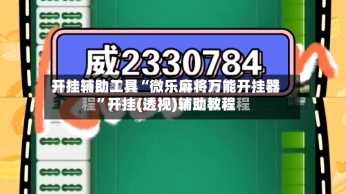 开挂辅助工具“微乐麻将万能开挂器”开挂(透视)辅助教程-第3张图片