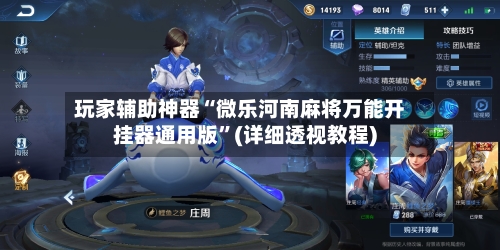 玩家辅助神器“微乐河南麻将万能开挂器通用版”(详细透视教程)-第3张图片