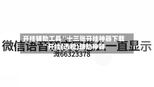 开挂辅助工具“十三张开挂神器下载	”开挂(透视)辅助神器-第2张图片