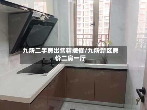 九所二手房出售精装修/九所新区房价二房一厅-第3张图片