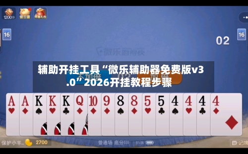 辅助开挂工具“微乐辅助器免费版v3.0”2026开挂教程步骤-第2张图片